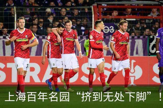 上海百年名园“挤到无处下脚”！正值高峰期，有人却自曝“进了抢救室”…
