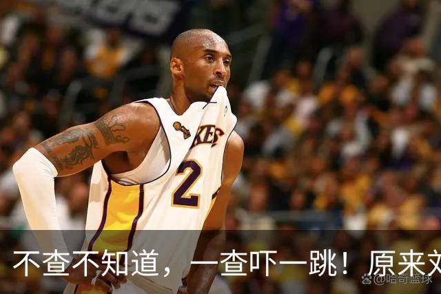 不查不知道，一查吓一跳！原来刘欢的女婿是他，怪不得身份不一般