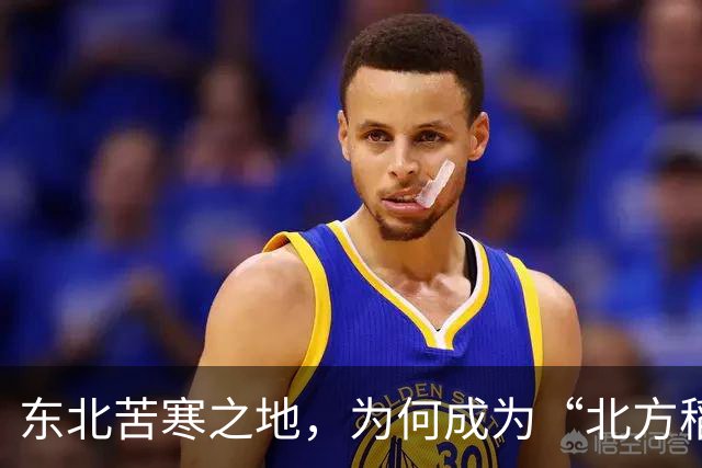 东北苦寒之地，为何成为“北方稻米之乡”，朝鲜人的贡献功不可没