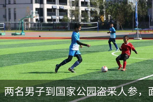 两名男子到国家公园盗采人参，面临6个月监禁
