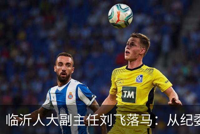 临沂人大副主任刘飞落马：从纪委书记到阶下囚，执纪者终是破了戒