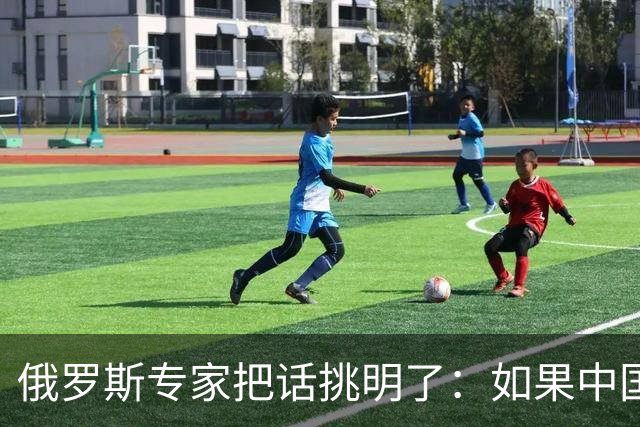 俄罗斯专家把话挑明了：如果中国铁了心要对日本动手，那就只有两个选择，要么不出手，要么一击毙命！