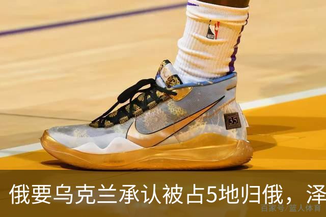 俄要乌克兰承认被占5地归俄，泽连斯基：这事已经不用谈了