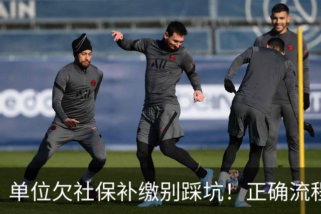 单位欠社保补缴别踩坑！正确流程：单位申报，个人不要提前转钱