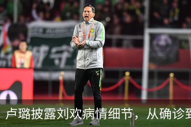 卢璐披露刘欢病情细节，从确诊到离世，跟骨病苦熬了整整17个年头