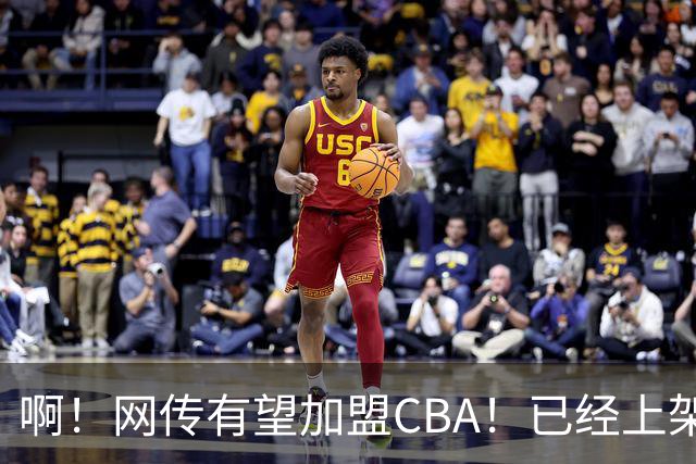 啊！网传有望加盟CBA！已经上架河村勇辉简历