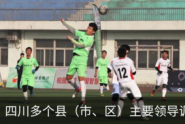 四川多个县（市、区）主要领导调整