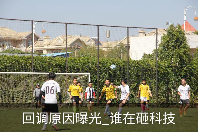 回调原因曝光 谁在砸科技