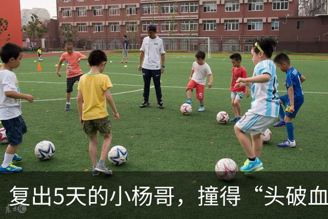复出5天的小杨哥，撞得“头破血流”