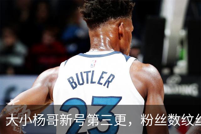 大小杨哥新号第三更，粉丝数纹丝不动