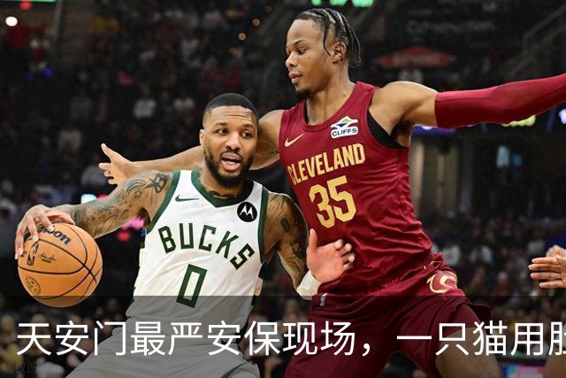 天安门最严安保现场，一只猫用肚皮盖章认证了国泰民安