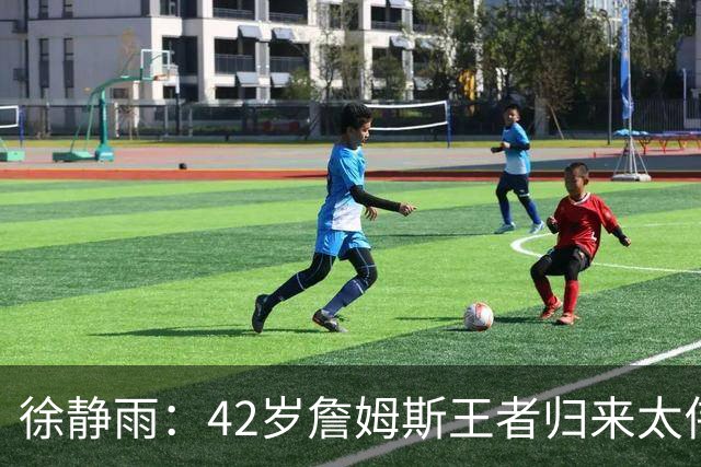 徐静雨：42岁詹姆斯王者归来太伟大！佩服得五体投地 目标总决赛