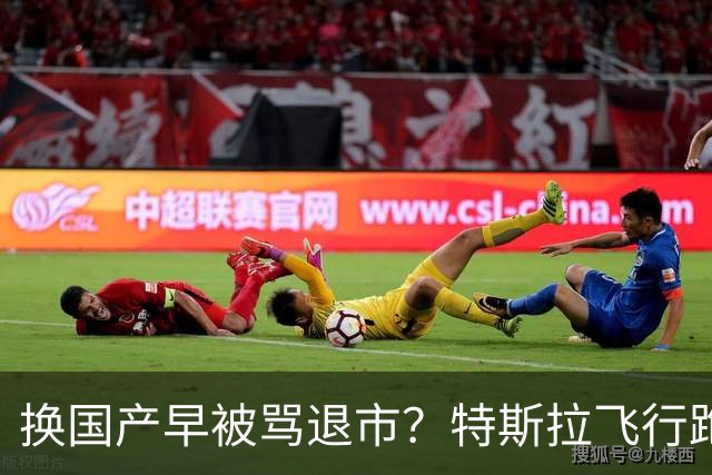 换国产早被骂退市？特斯拉飞行跑车吵翻全网
