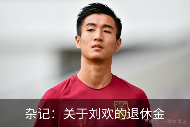 杂记：关于刘欢的退休金
