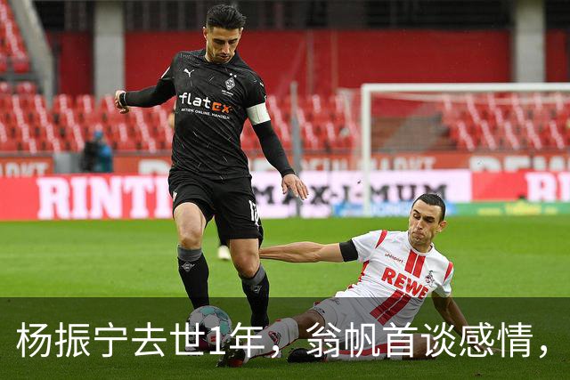 杨振宁去世1年，翁帆首谈感情，如果人生重来，她会放弃这个想法