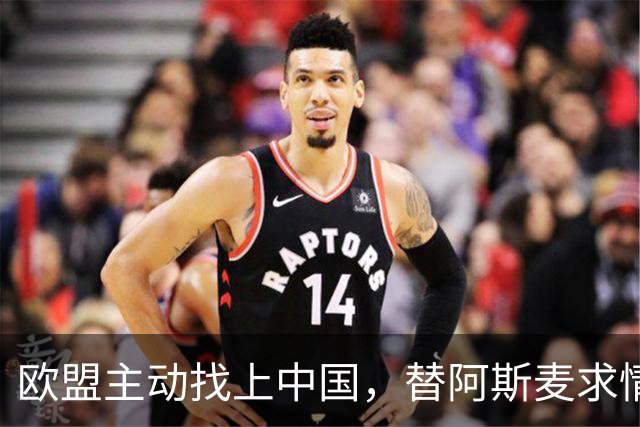 欧盟主动找上中国，替阿斯麦求情：中方别管制了，真顶不住