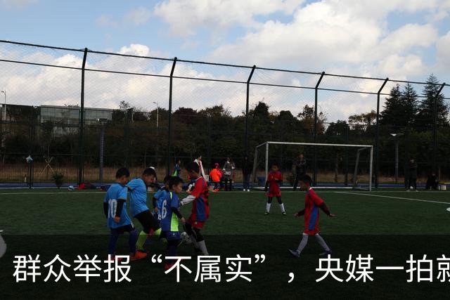 群众举报“不属实”，央媒一拍就属实：从河北群众举报污染说起