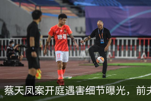 蔡天凤案开庭遇害细节曝光，前夫父子分头行事，车上行凶全程冷静