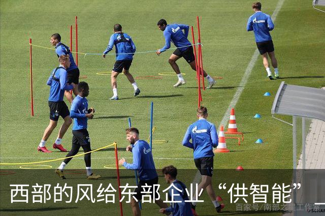 西部的风给东部企业“供智能” 解锁宁夏中卫东西部算力互济新范式丨活力中国调研行