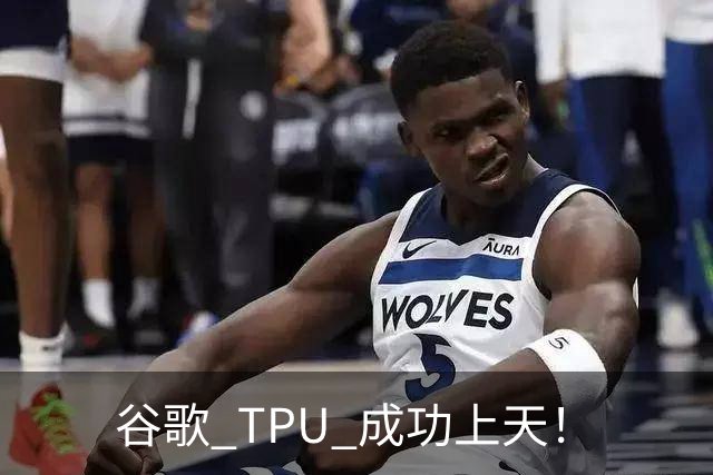 谷歌 TPU 成功上天！