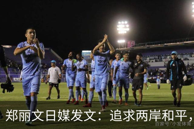 郑丽文日媒发文：追求两岸和平，并非要台湾单方面妥协