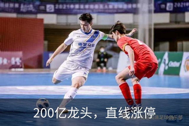 200亿龙头，直线涨停