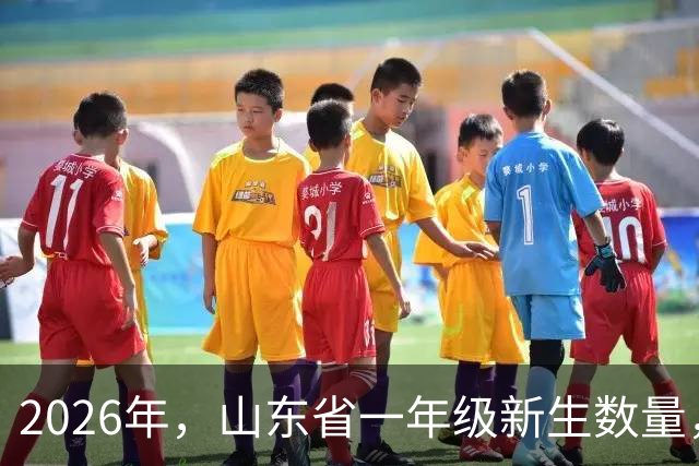 2026年，山东省一年级新生数量，减半！