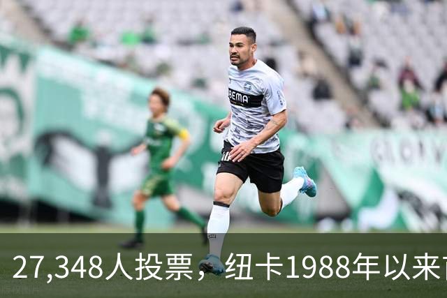 27,348人投票，纽卡1988年以来首次更换队徽