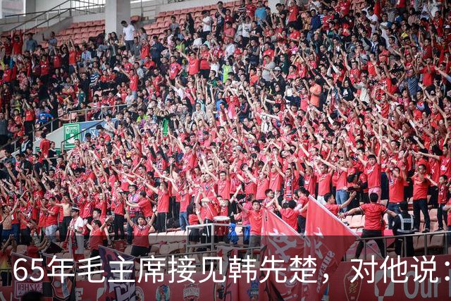 65年毛主席接见韩先楚，对他说：洪麻子过去有功，不能一棍子打死